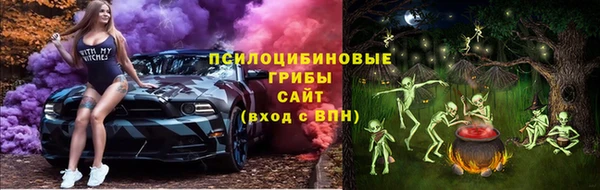 ГАЛЛЮЦИНОГЕННЫЕ ГРИБЫ Бронницы